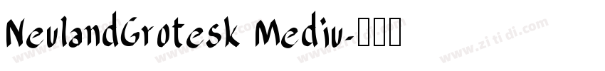 NeulandGrotesk Mediu字体转换